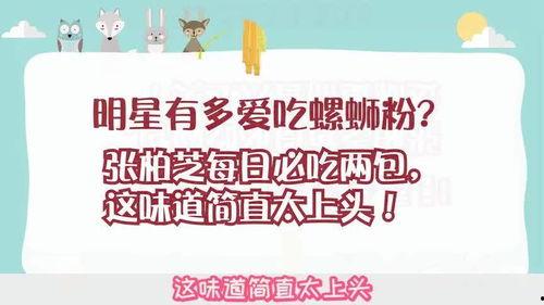 每日必吃,健康饮食的黄金法则