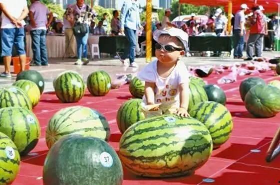 在线吃瓜--今日大赛,今日大赛精彩瞬间大盘点