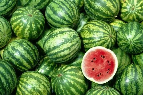 今日吃瓜在哪下载