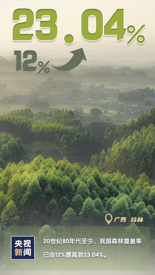 木林森在线观看 人,穿越时光的森林传奇