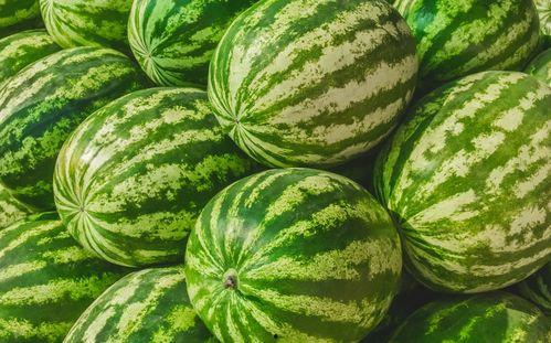 热门大瓜在线 吃瓜爆料短剧吃瓜爆料大赛每日聚集地 吃瓜爆料,吃瓜爆料短剧大赛，每日聚集地揭秘